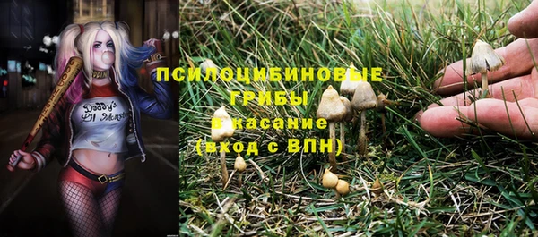 a pvp Белоозёрский