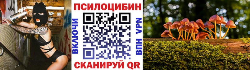 OMG ссылки  Новоалександровск  Псилоцибиновые грибы прущие грибы  хочу наркоту 