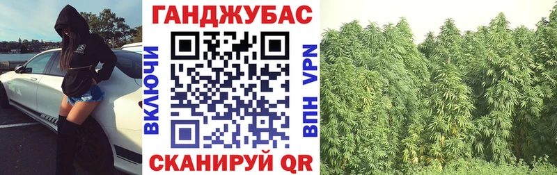 купить закладку  блэк спрут сайт  МАРИХУАНА сатива  Новоалександровск 